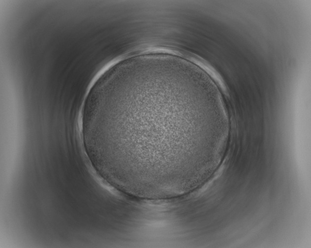 X0000113581198200909251148