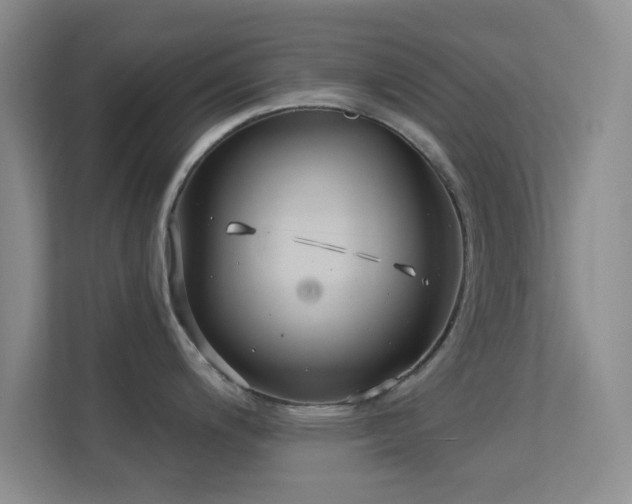 X0000113581200200909251148