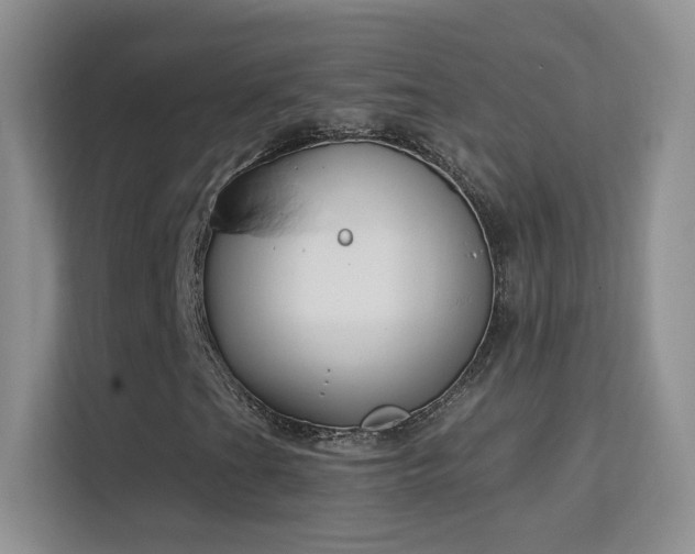 X0000113581201200909251148