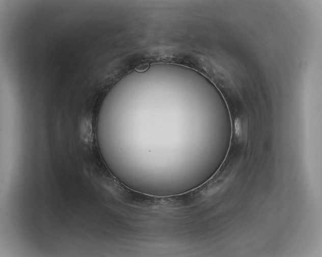 X0000113581203200909251148