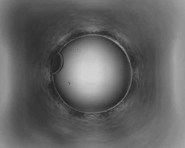 X0000113581205200909251148