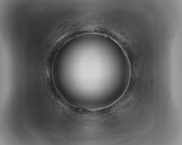 X0000113581206200909251148