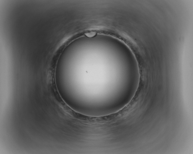 X0000113581208200909251148