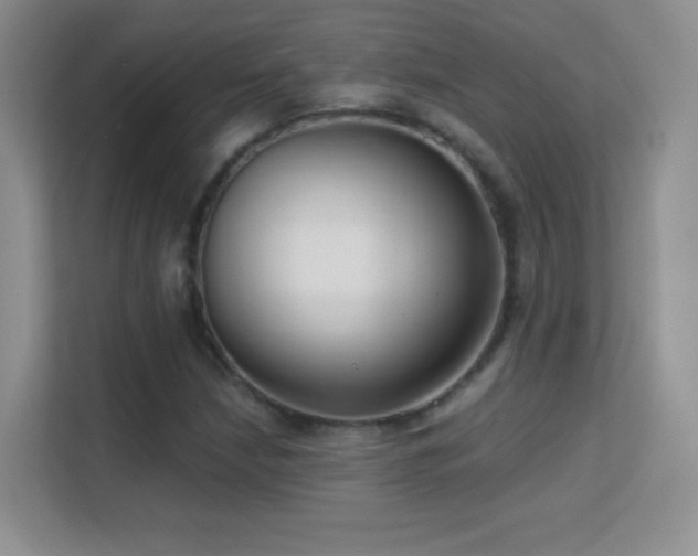 X0000113581210200909251148