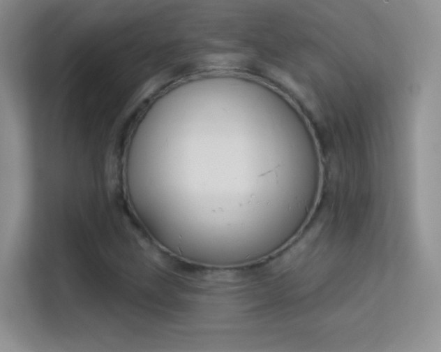 X0000113581211200909251148