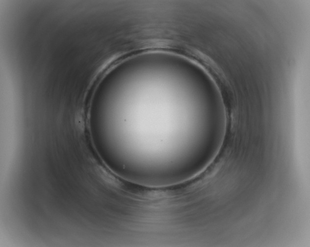 X0000113581212200909251148