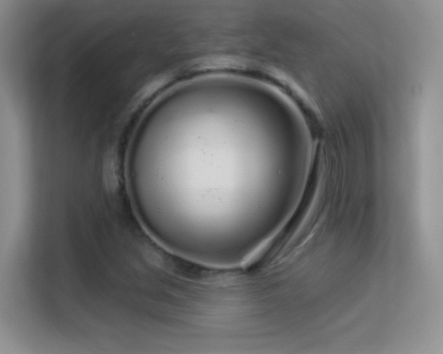 X0000113581213200909251148