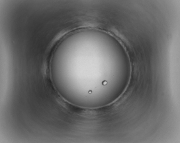 X0000113581215200909251148