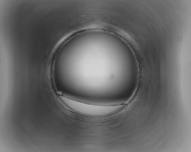 X0000113581216200909251148