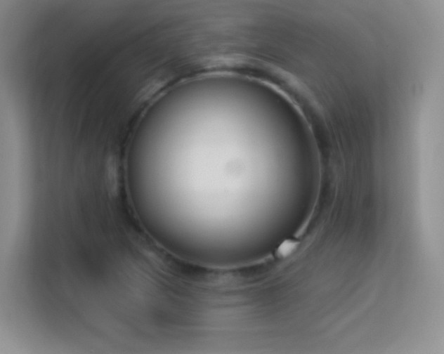 X0000113581217200909251148