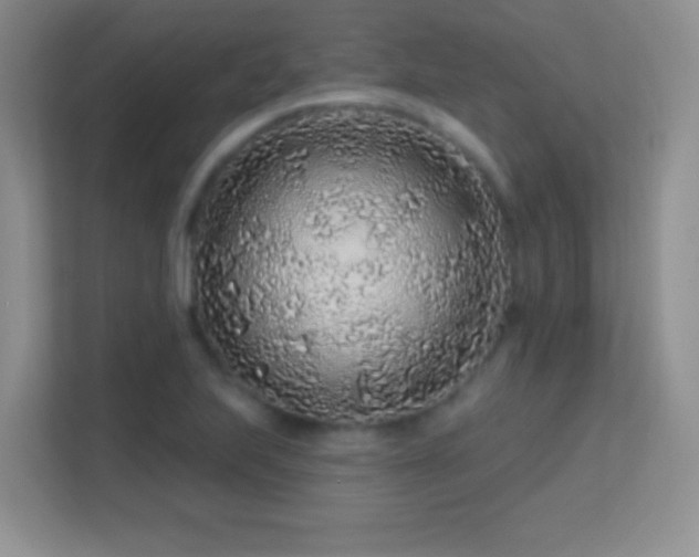 X0000113581223200909251148