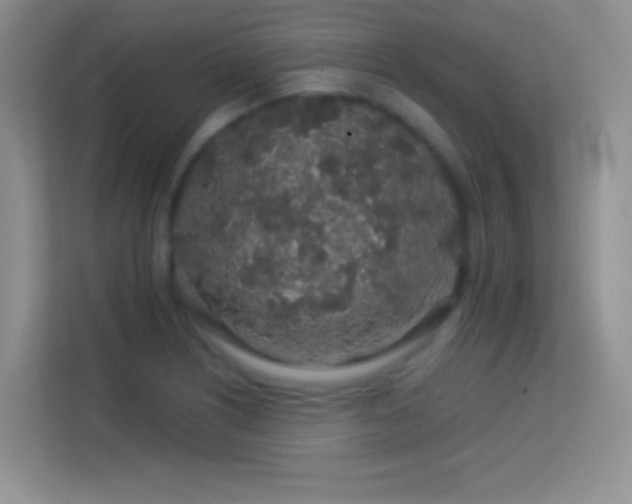 X0000113581226200909251148