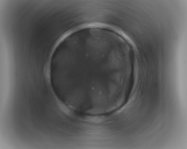 X0000113581229200909251148