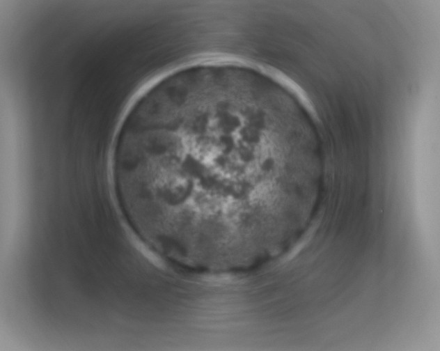 X0000113581231200909251148