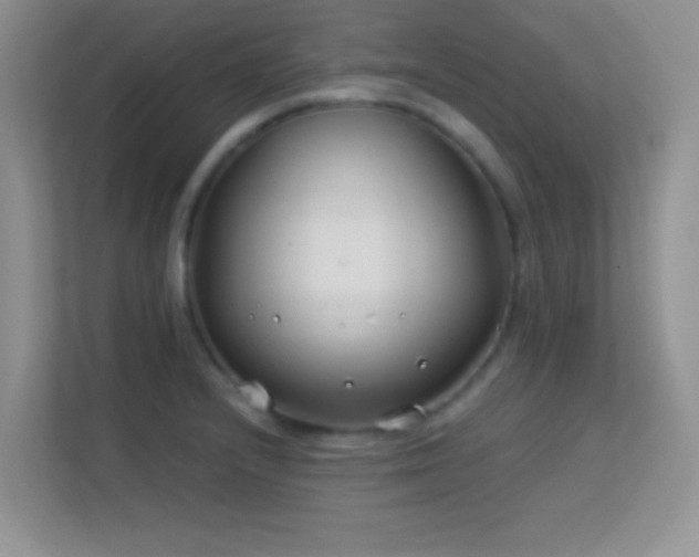 X0000113581232200909251148