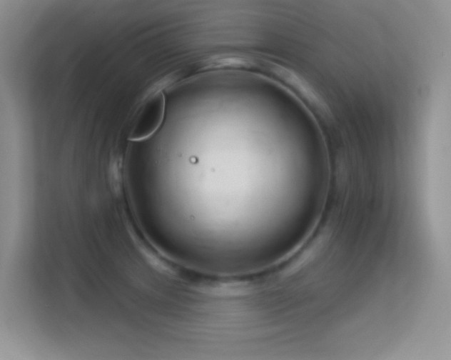 X0000113581233200909251148