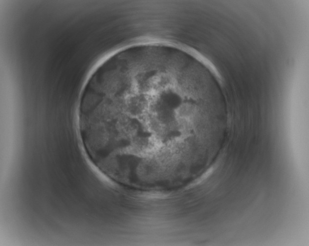 X0000113581239200909251148