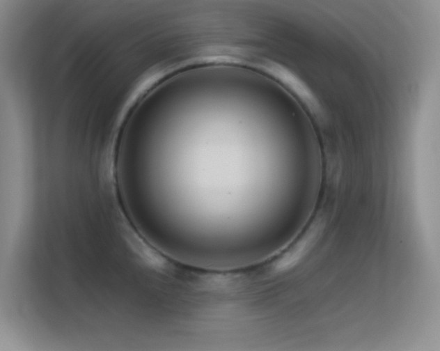 X0000113581240200909251148