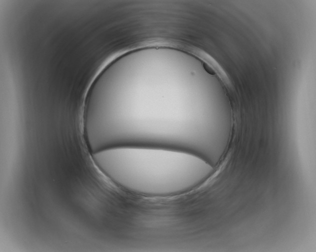 X0000113581244200909251148