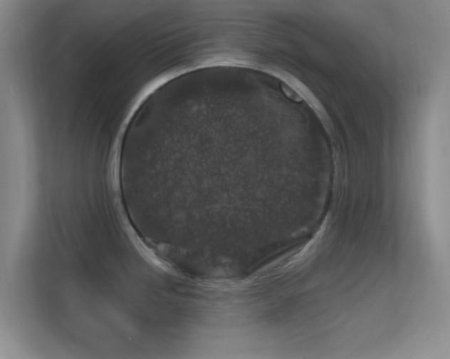 X0000113581246200909251148