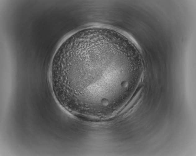 X0000113581247200909251148