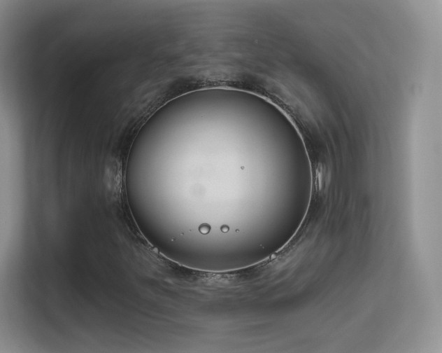 X0000113581251200909251148