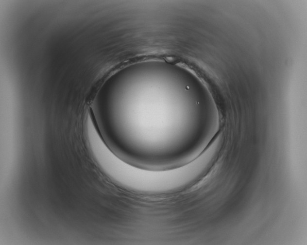 X0000113581257200909251148