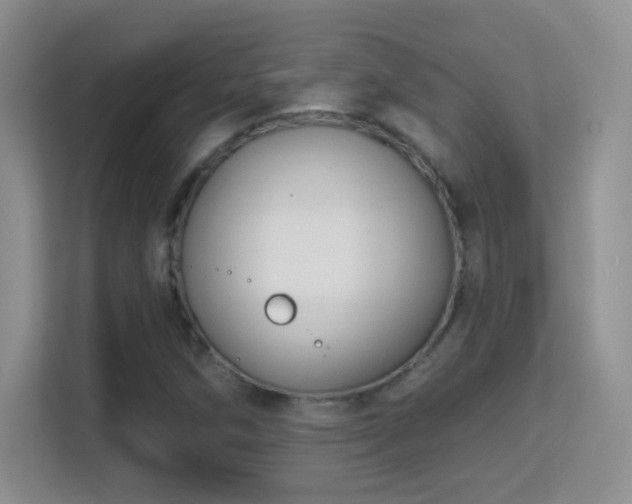 X0000113581258200909251148