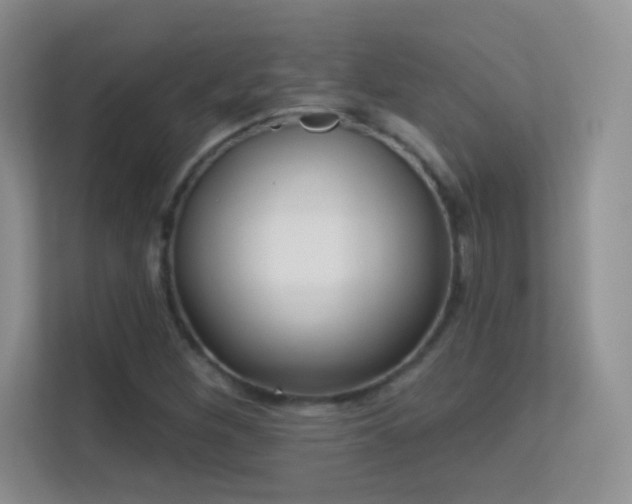 X0000113581260200909251148