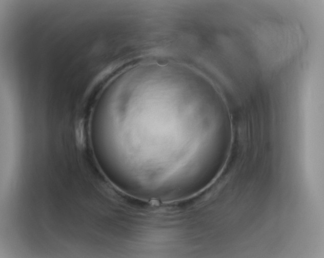 X0000113581262200909251148