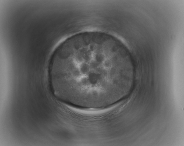 X0000113581263200909251148