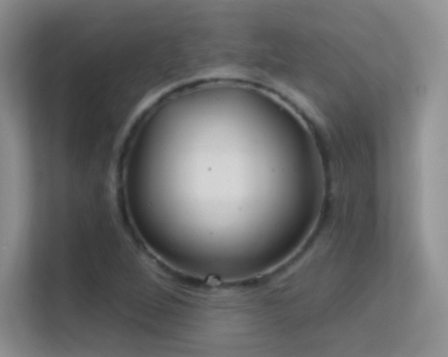 X0000113581264200909251148