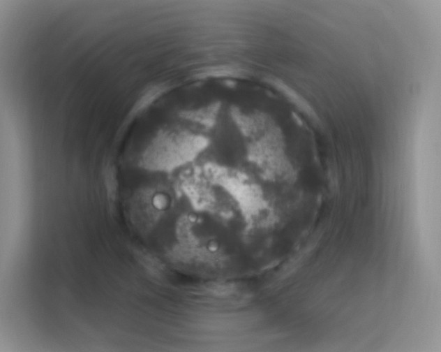 X0000113581266200909251148