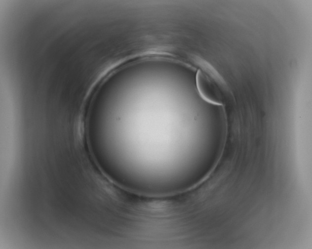 X0000113581268200909251148