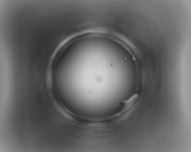 X0000113581272200909251148