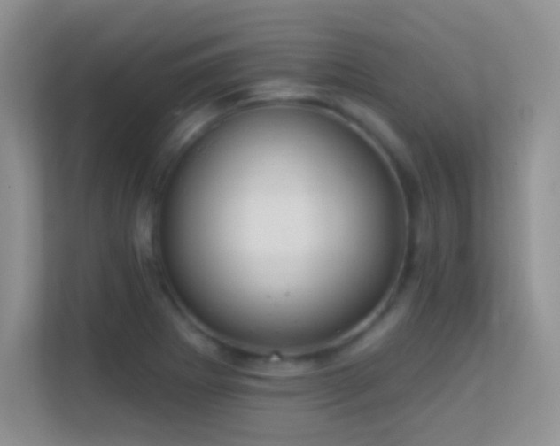 X0000113581273200909251147