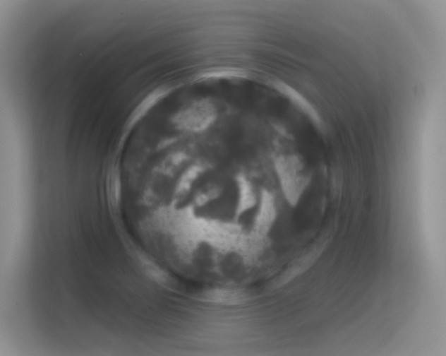 X0000113581274200909251147