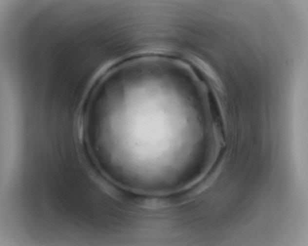 X0000113581275200909251147