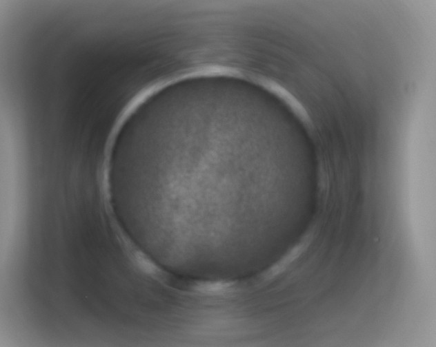 X0000113581278200909251147