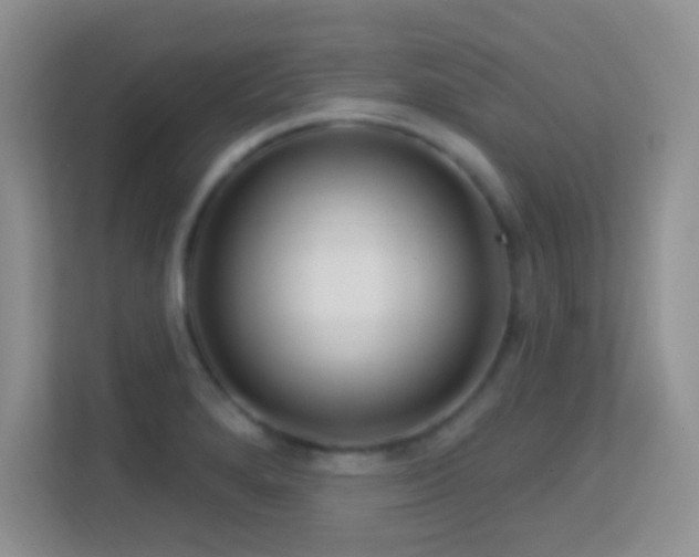 X0000113581280200909251147