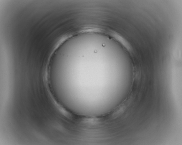 X0000113581282200909251147