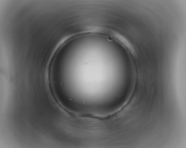 X0000113581283200909251147