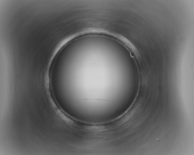 X0000113581287200909251147