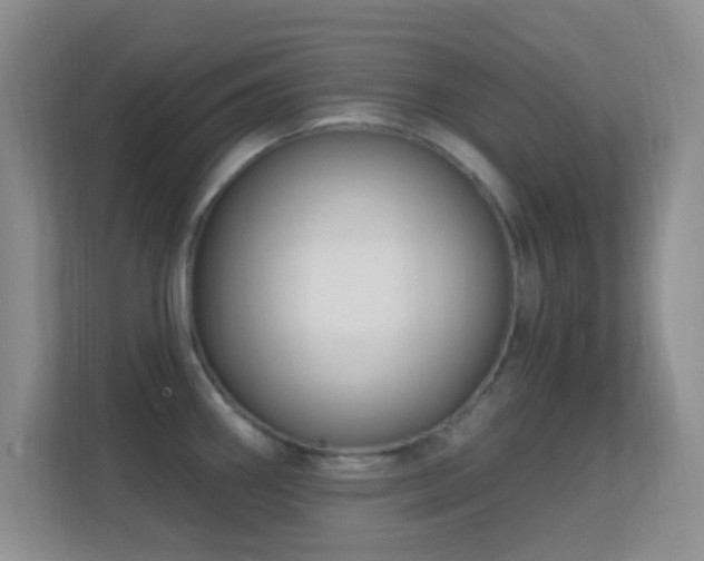 X0000113581290200909251147