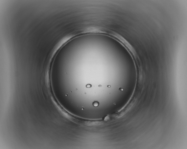 X0000113581293200909251147