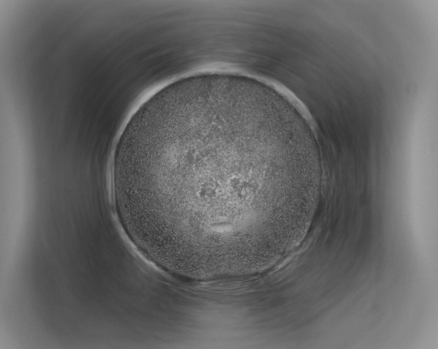 X0000113581295200909251147