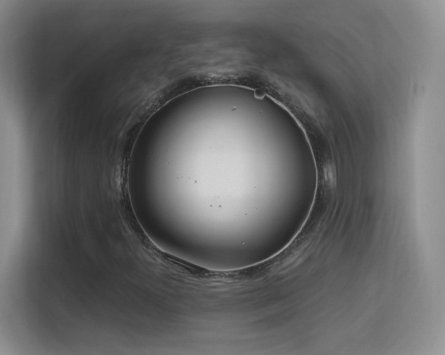 X0000113581300200909251147