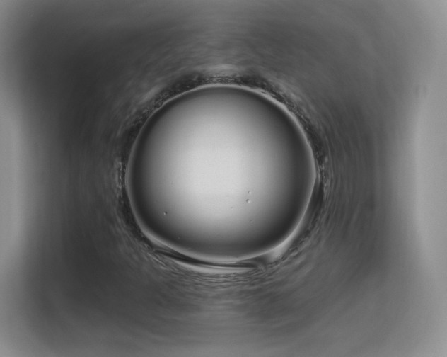 X0000113581301200909251147