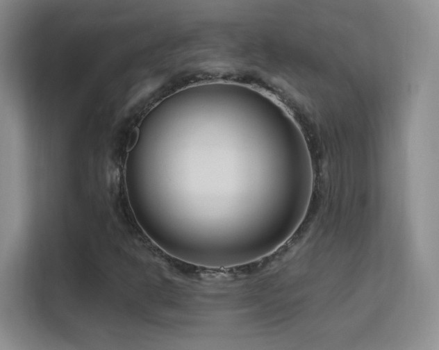 X0000113581302200909251147