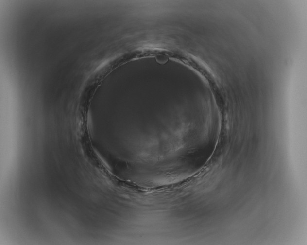 X0000113581303200909251147